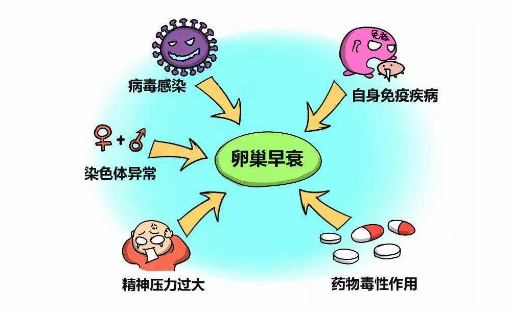 QQ截图20181113094654.png