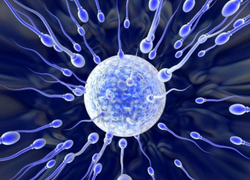男性精子质量差的原因有哪些？坤和试管婴儿如何提高优生率
