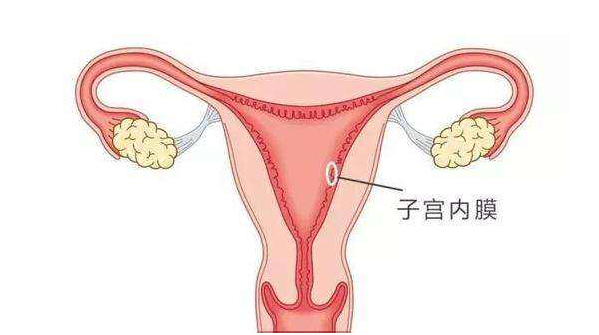 坤和上海代怀孕：女性子宫内膜薄如何成功助孕