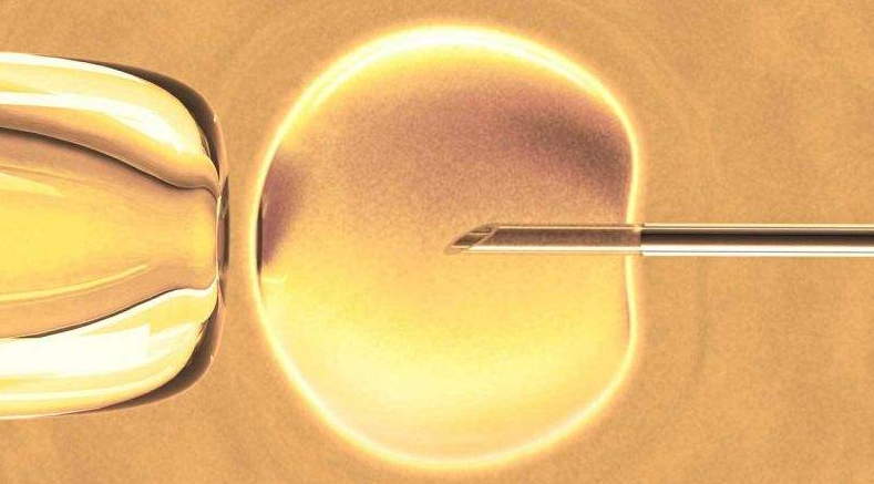 坤和专家讲解：诱发排卵和超排卵有何区别？有何优势？
