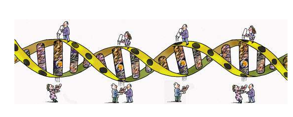 夫妻双方都有遗传病，三代试管婴儿如何从根源阻断遗传病因