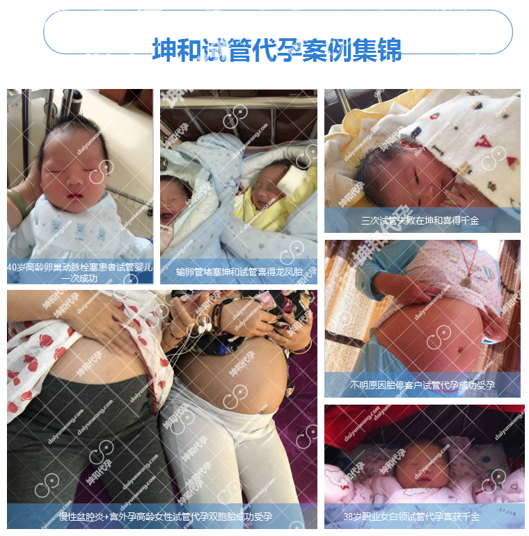 坤和试管代怀孕案例集锦