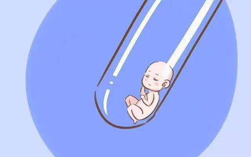 供卵试管成功率