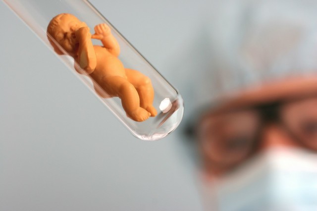 试管供卵代怀孕公司 - 上海助孕费用