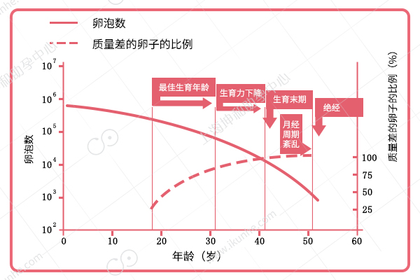 上海同性生子公司