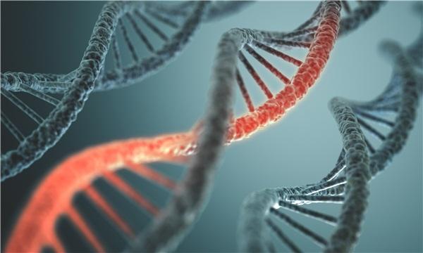 上海孕代公司：上海供卵三甲医院有哪些