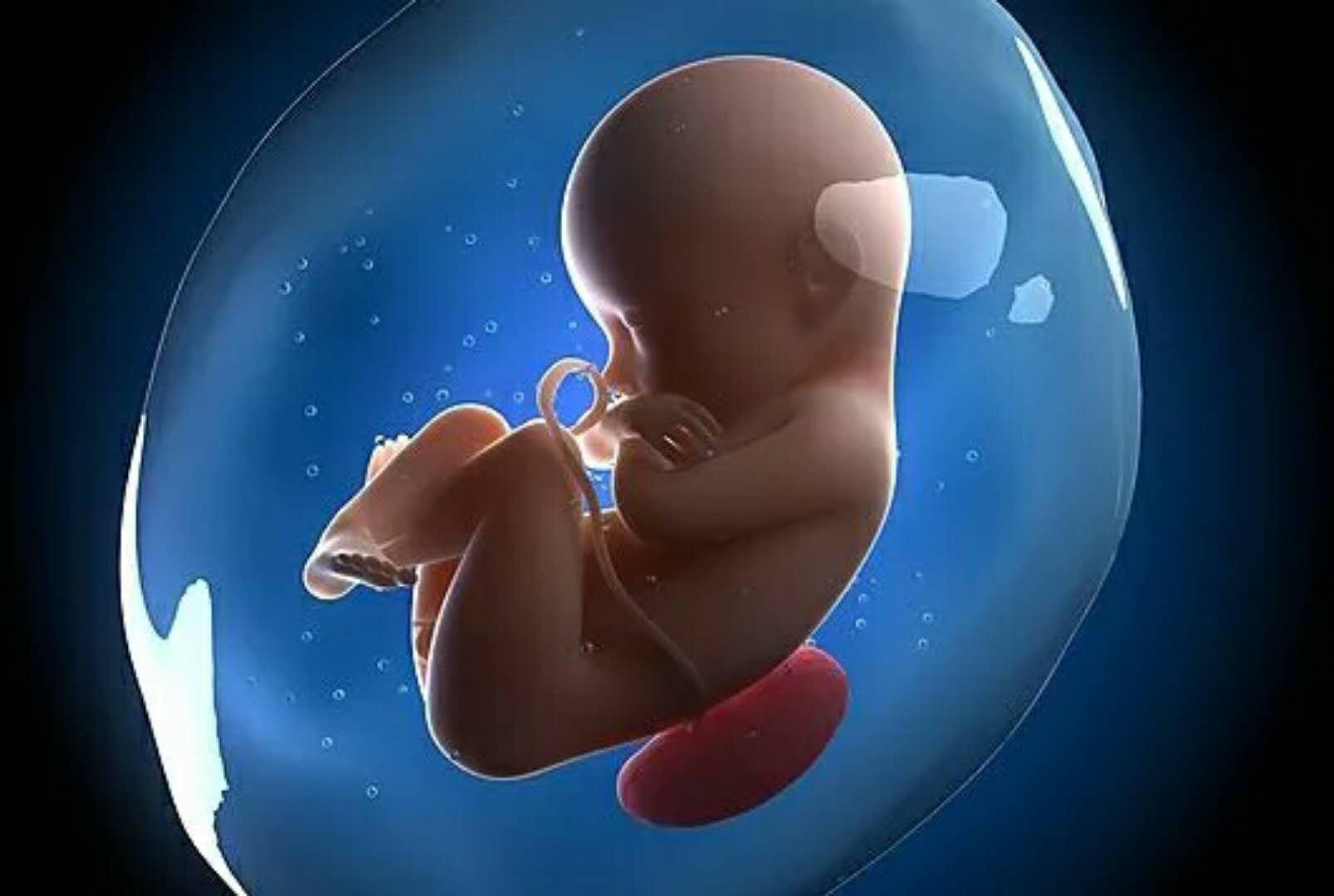 做试管婴儿从开始到怀上需要多久的时间